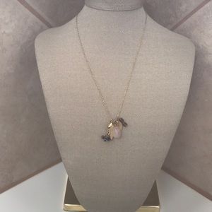 Banana Republic Necklace